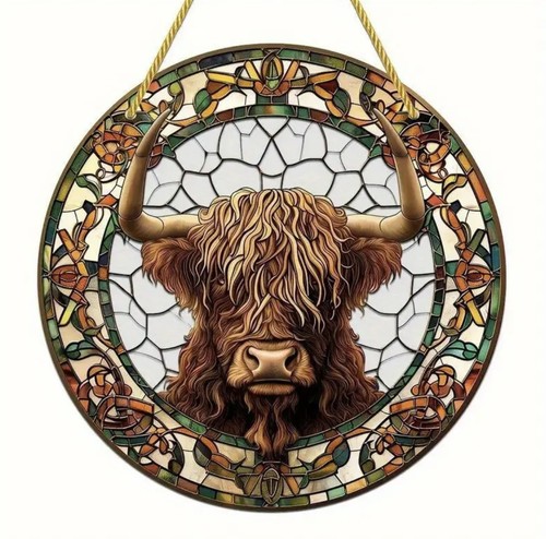 Stunning highland cow acrylic - stunning,