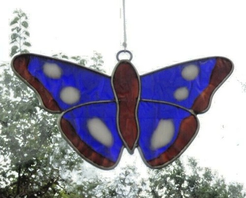 Multi colour butterfly sun - colour,