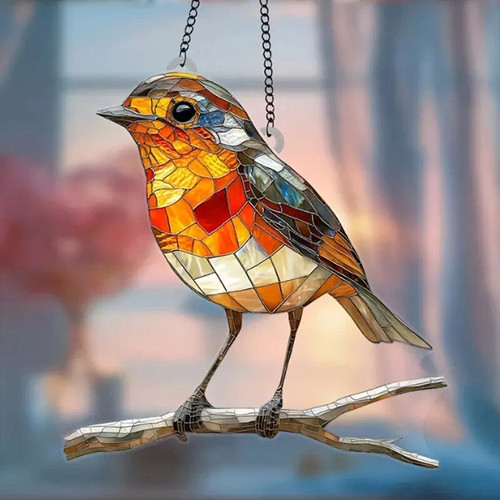 Large robin bird - robin, on
