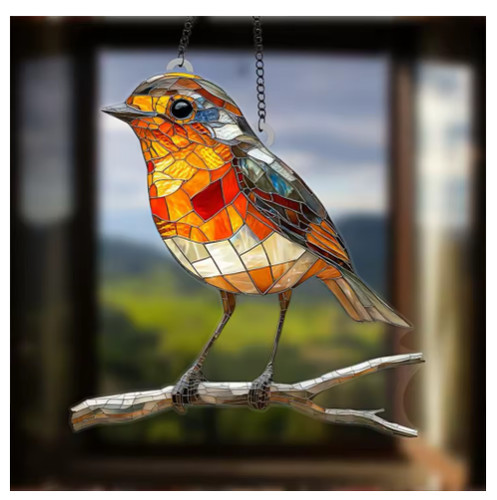 Large robin bird - robin, on