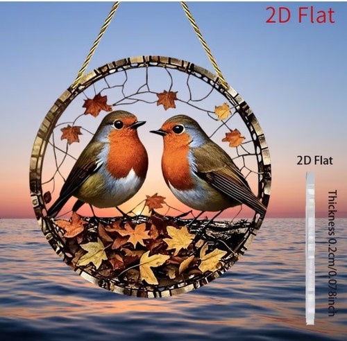 Beautiful red robin pair - beautiful,